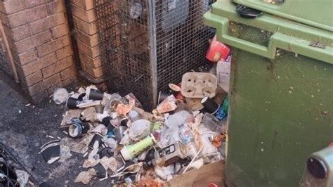 parramatta council clean up|Petition · Clean Up Harris Park .